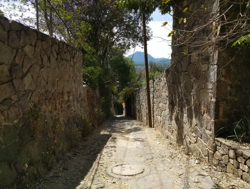 I swear this road is steeper than it looks.